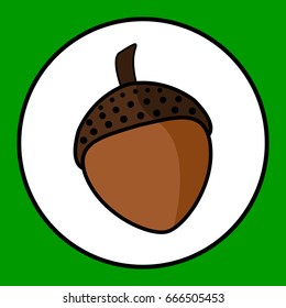 Illustration of Isolated Oak Acorn