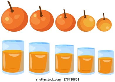 illustration of isolated oranges big to small on white