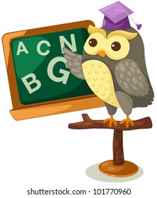 illustration of isolated owl teacher on  white