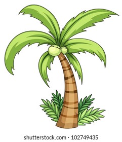 Illustration of isolated palm on white