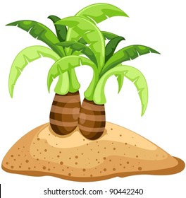 illustration of isolated palm trees  on white background