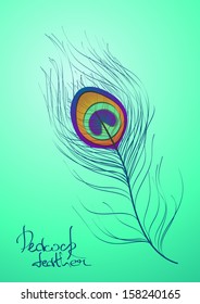 Illustration with isolated peacock feather