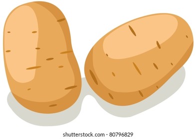 illustration of isolated potatoes on white background