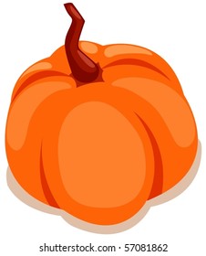 illustration of isolated  pumpkin on white background