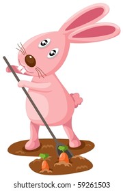 illustration of isolated rabbit  digging carrots on white