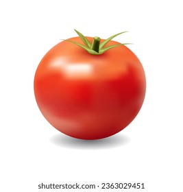 Illustration of the isolated ripe voluminous tomato on the white background.