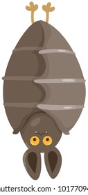 illustration of isolated sleeping bat on white