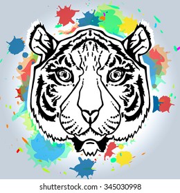 Illustration of isolated tiger head in vintage style with spots for textiles, print and tattoo. Line-art. Vector