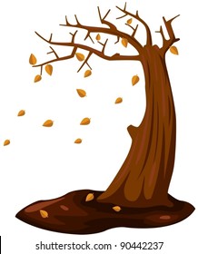 illustration of isolated tree in autumn on white background