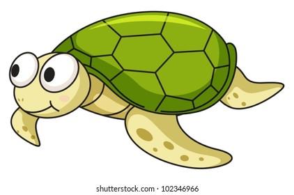 Illustration of an isolated turtle