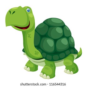 illustration of isolated turtle on white