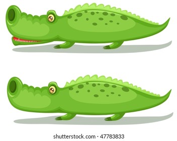 illustration of isolated two crocodiles on white background