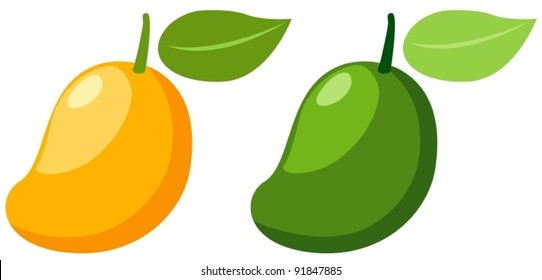 illustration of isolated  two mangoes  on white background