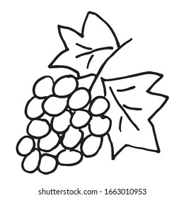 Illustration of isolated vector hand drawn cartoon grapes