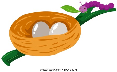 illustration of isolated worm with nest of eggs