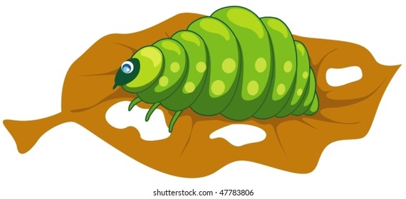 illustration of isolated a worm on a leaf