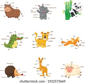 Illustration of isolation vocabulary part of body wild animals set.vector