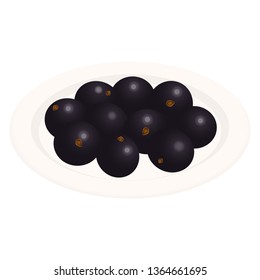 Illustration of the Jabuticaba