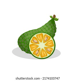 Ilustración de un fruto de yaca. Icono de fruto de la chaqueta, fruta
