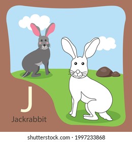 Illustration of jackrabbit isolated and coloring