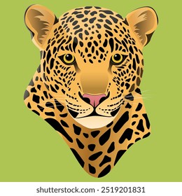 illustration of a jaguar head, brazilian animal