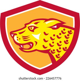 Illustration of a jaguar leopard head facing side growling prowling set inside shield crest on isolated background done in retro style.