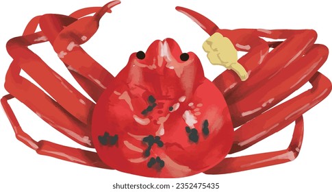 Illustration of Japanese Boiled Crab