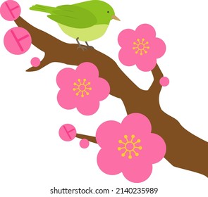 Illustration of a Japanese bush warbler on a plum tree