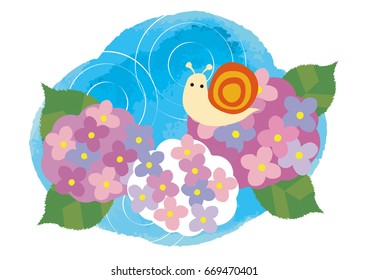 It is an illustration of Japanese hydrangea.