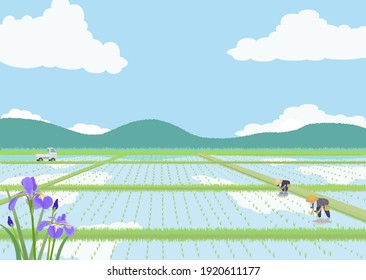 Illustration of Japanese rice planting.
