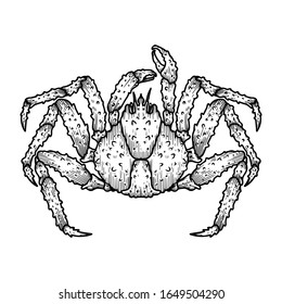 Illustration of japanese spider crab. Design element for logo, label, sign, emblem, poster. Vector illustration