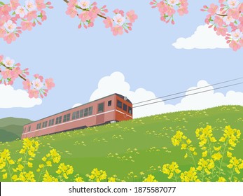 Illustration of Japanese spring. Cherry blossom and local train.