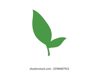 Illustration of a Japanese tea leaves