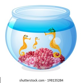 Illustration of a jar with three seahorses on a white background