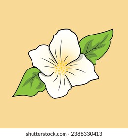 Die Illustration der Jasminblume