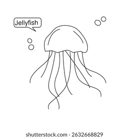 illustration of jellyfish. vector illustration of a jellyfish. Vector illustration of cartoon jellyfish. Cute jellyfish line art illustration. 