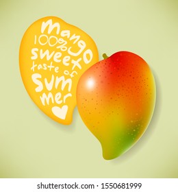 Illustration of juicy mango and its slice