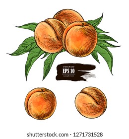 Illustration of juicy peach with leafs