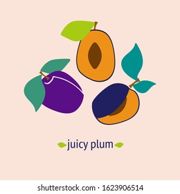 illustration of a juicy plum. plums and green leaves on a light coloured background. sliced plum. flesh plums. Vector background.