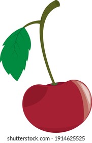 Illustration of juicy ripe cherries.