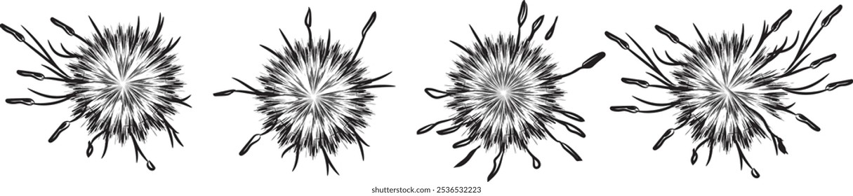 Illustration of Jungle Pampas grass hand-drawn top view set	
