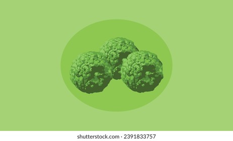 illustration a kaffir lime (Kaffir lime or Citrus hystrix DC)also known as jeruk purut, one kind of citrus that usually used fo cooking and traditional medicine. 