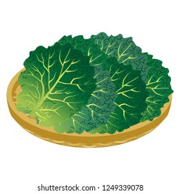 Illustration of the kale