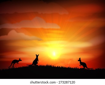 Illustration of Kangaroo on sunset. vector illustration