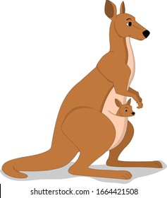 illustration of kangaroo side view