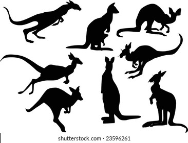 illustration with kangaroo silhouettes isolated on white background