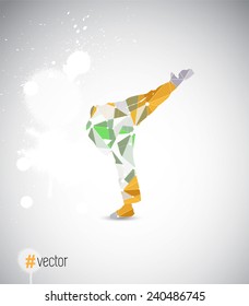illustration of karate