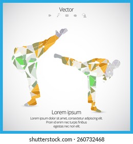 Illustration of karate. Vector