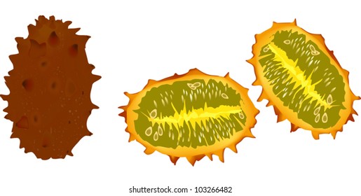 illustration with kawani cucumber isolated on white background