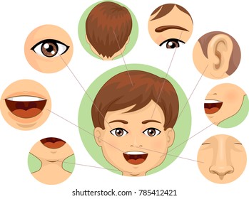 Illustration of a Kid Boy with Different Parts of the Face Isolated Around It